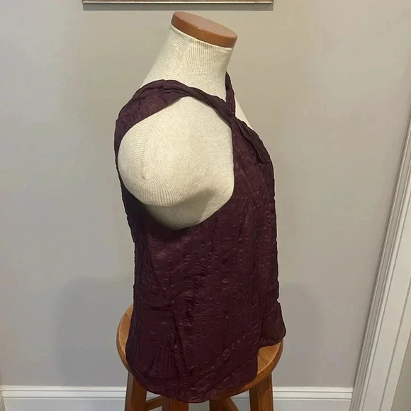 NWT!! Frame - Draped Textured Silk Halter Top in Cabernet Purple - Size XS - Picture 5 of 8